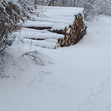 Alter Werkstatt Apartamento Junkerath