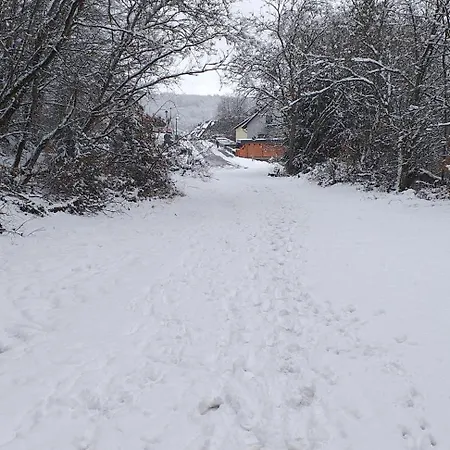 Alter Werkstatt דירה *