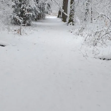 Alter Werkstatt * Junkerath