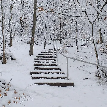 Alter Werkstatt דירה