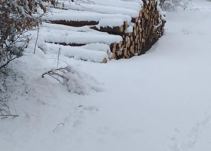 Alter Werkstatt 公寓 Junkerath