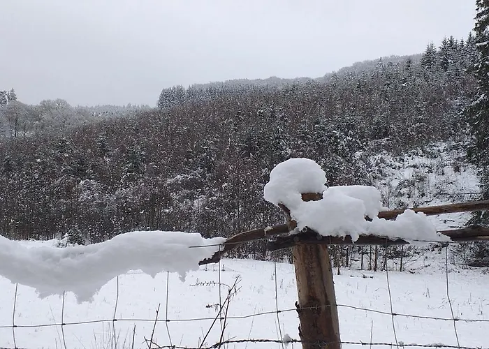 公寓 Alter Werkstatt *