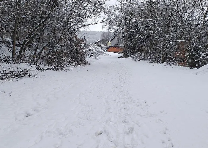 Alter Werkstatt 公寓 *