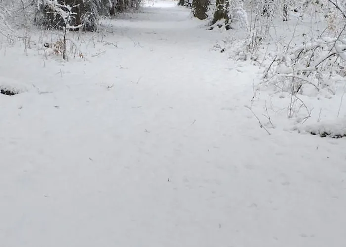 Alter Werkstatt * Junkerath