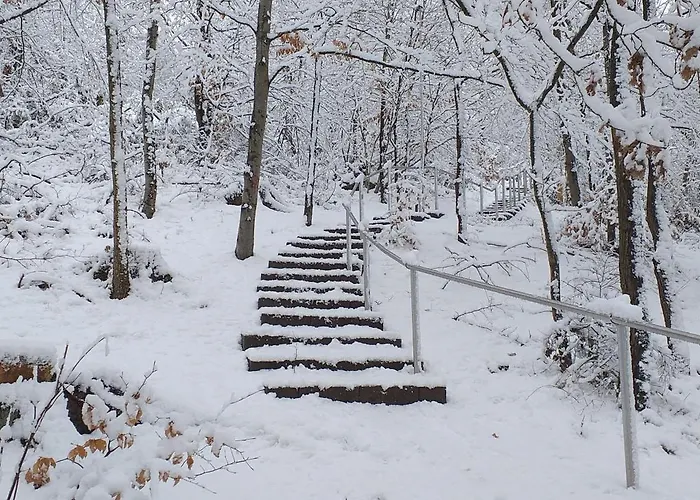 Alter Werkstatt 公寓