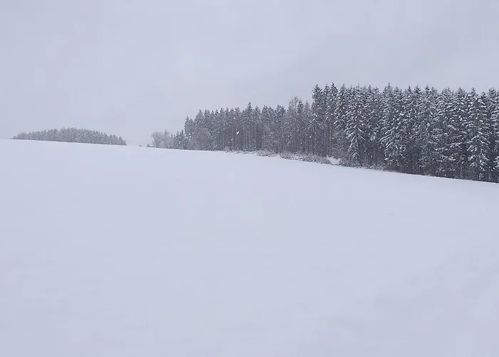 公寓 Alter Werkstatt *