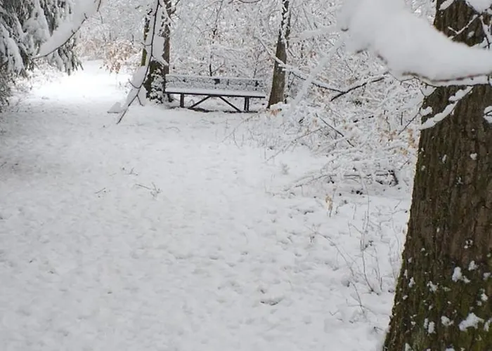 Alter Werkstatt 公寓 *